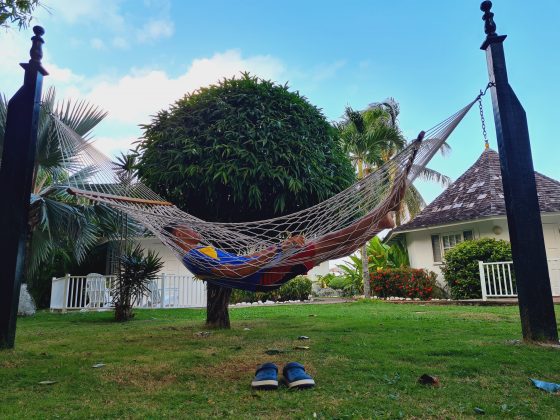 jamaican hammock