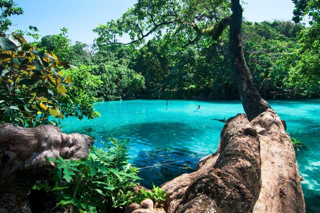 Explore the Must-Visit Top Tourist Destinations & Attractions in Jamaica