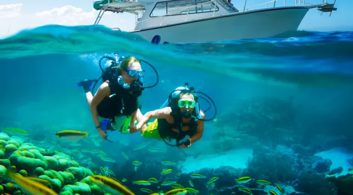 13 Best Popular Snorkeling Spots in Jamaica Things to Do at Sandals Grande St. Lucian