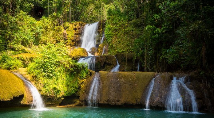 Here are Some of the Best Popular Waterfalls in Jamaica Best Popular Waterfalls in Jamaica
