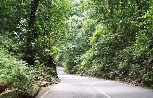 What to Know about Fern Gully Jamaica Before Visiting 20 Best Popular Things To Do in & Near Ocho Rios, Saint Ann Jamaica on Vacation