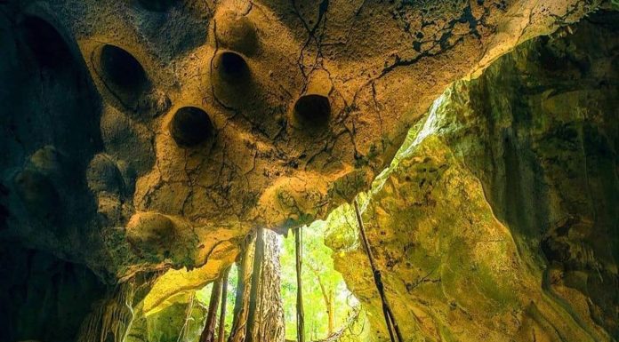 Top 10 Best Popular Hotels & Resorts near Green Grotto Caves, Runaway Bay Jamaica Things Jamaica is Known For