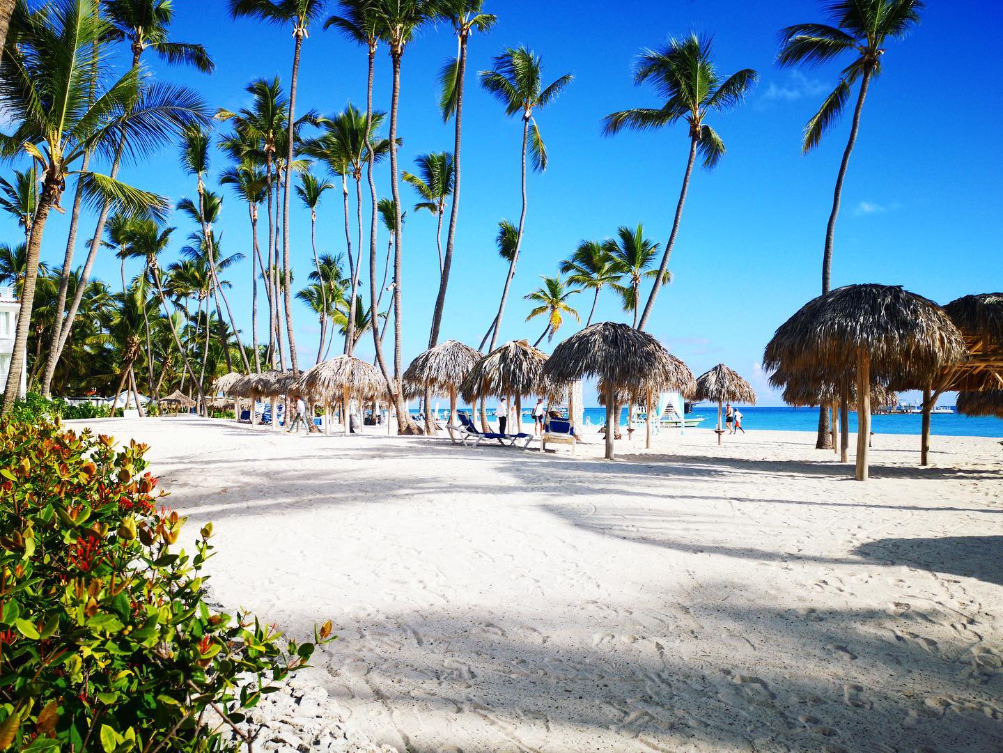 Where to go for Vacation Jamaica vs Punta Cana?
