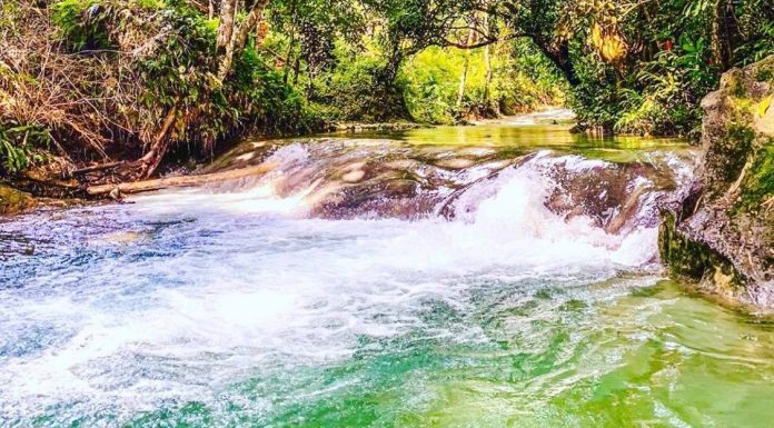 What to Know About Mayfield Falls in Jamaica