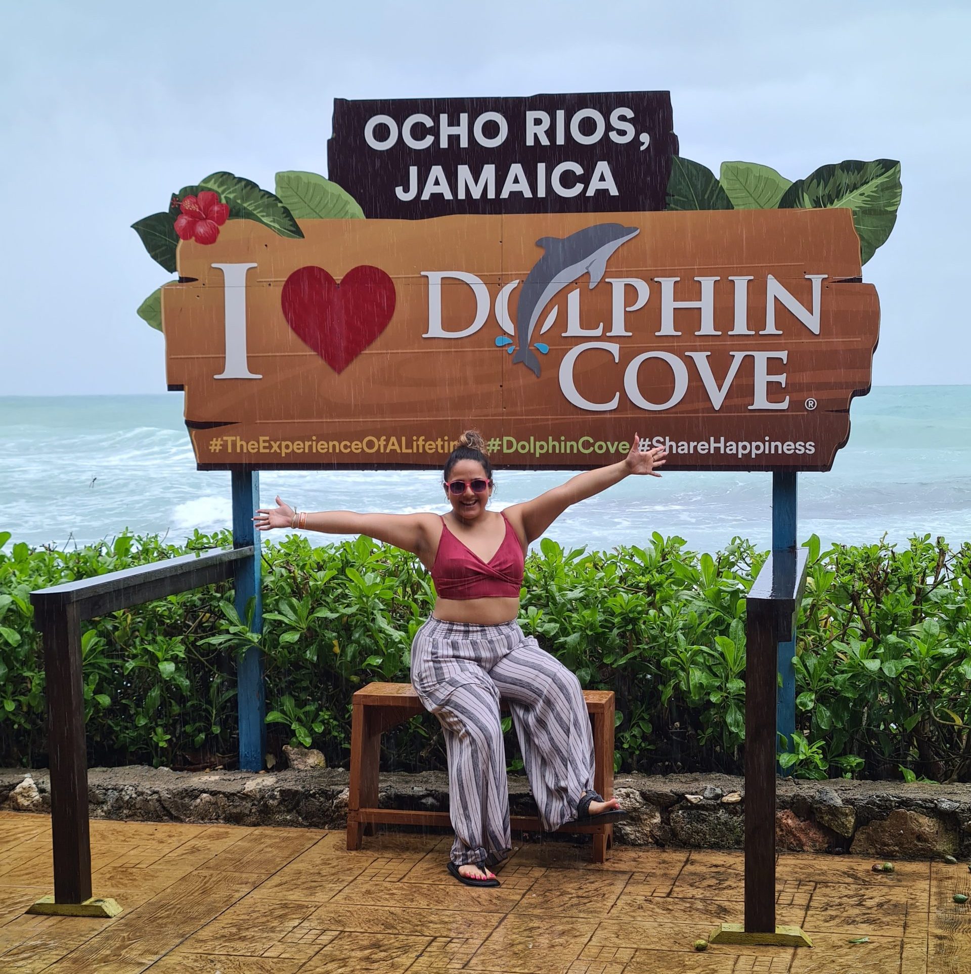 Visiting Dolphin Cove Ocho Rios Jamaica: What To Expect