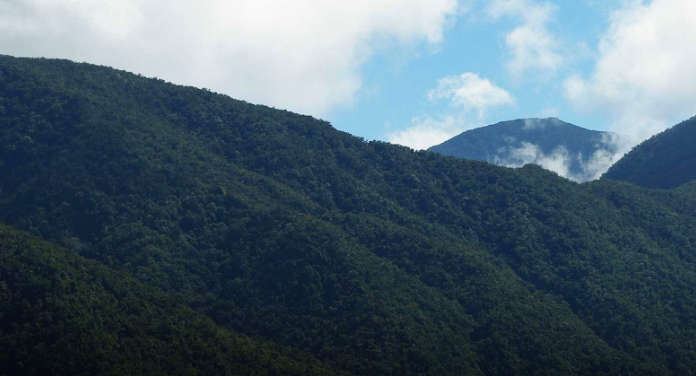 Top 16 Best Popular Hotels & Resorts near Blue Mountains, Jamaica Things To Do with Kids In Jamaica