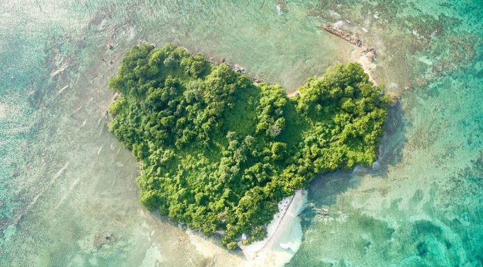 What to Know About Booby Cay Island Jamaica What to Know About Booby Cay Island Jamaica