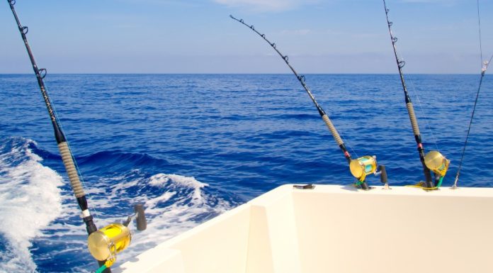Guide to Fishing in The Turks and Caicos Top Best Popular Excursions in Turks And Caicos