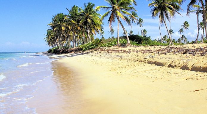 Dominican Republic Slangs to Know on Vacation