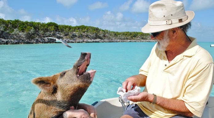 Why Visit The Bahamas for a Vacation? Why Visit The Bahamas for a Vacation?