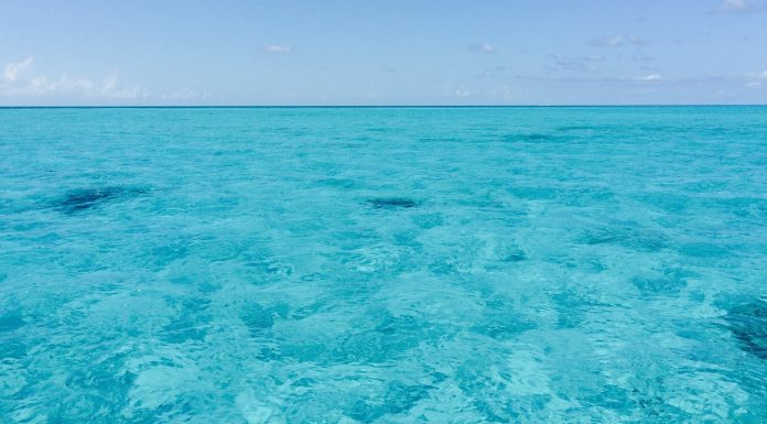 Why is the Water in The Bahamas So Blue? Why is the Water in the Bahamas So Blue?
