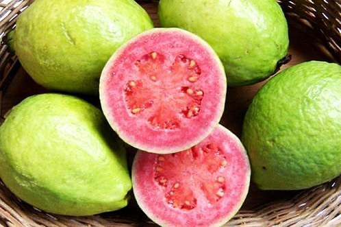 The Different Fruit Seasons in Jamaica