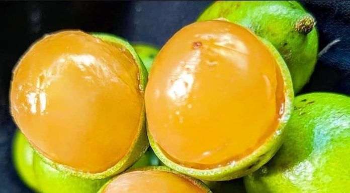 About the Jamaican Guinep Fruit The Different Fruit Seasons in Jamaica