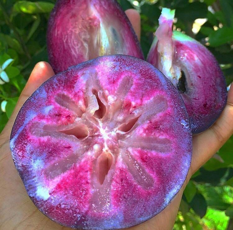 Best Jamaican Fruits to Try