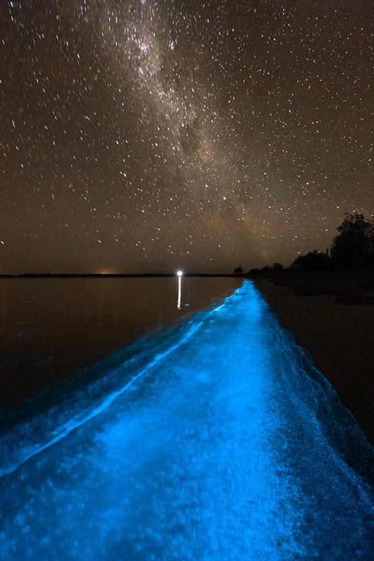 How Many Bioluminescent Bays Are There in Puerto Rico?