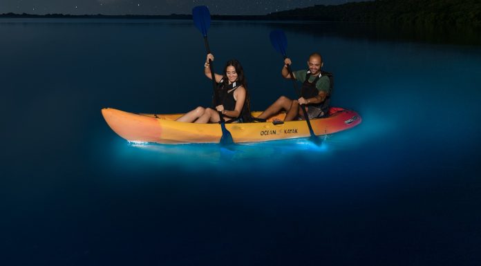 The Best Time to Go to Puerto Rico’s Bioluminescent Bays