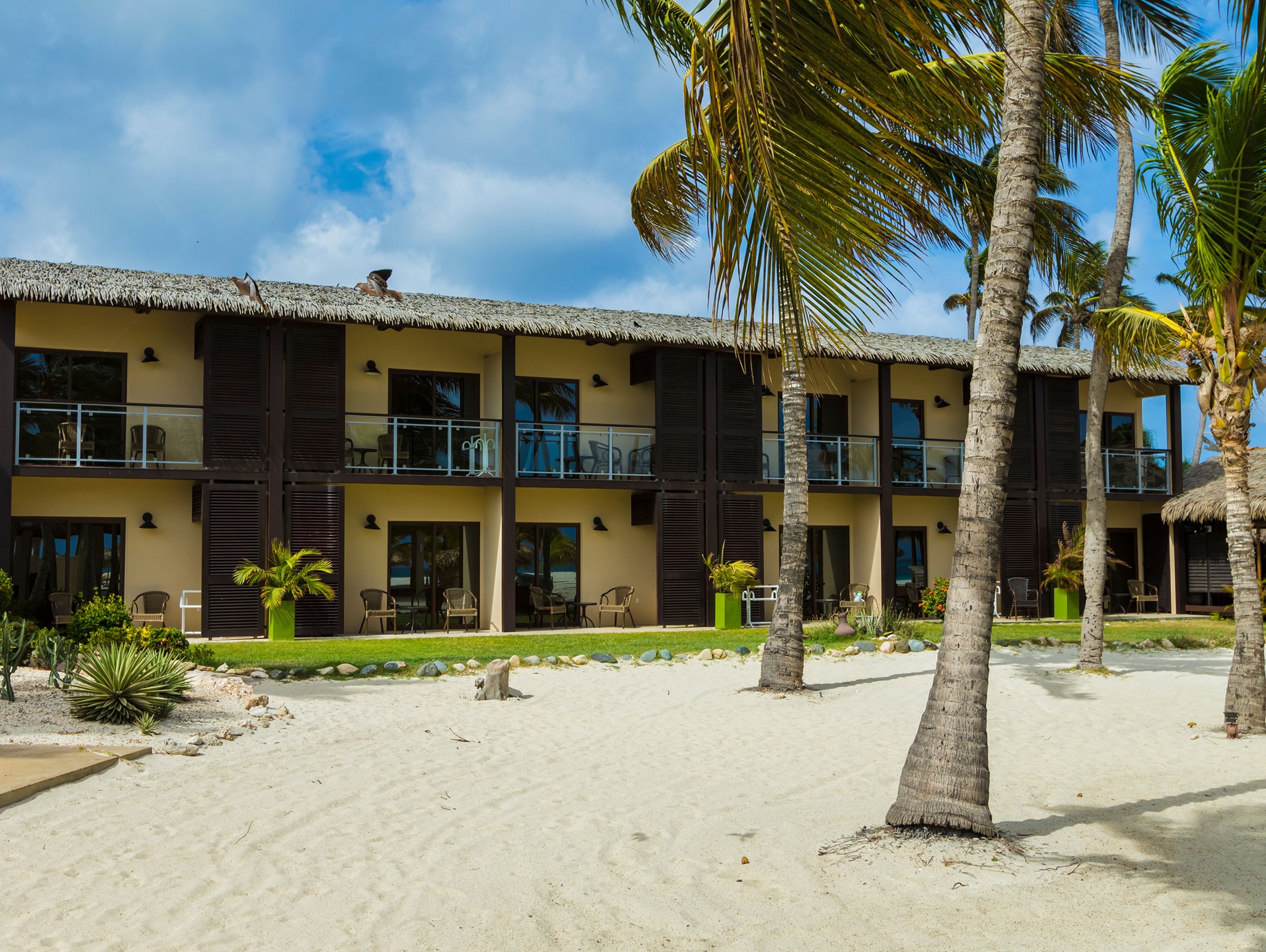 Top Best All-Inclusive Resorts & Vacation Packages in Aruba