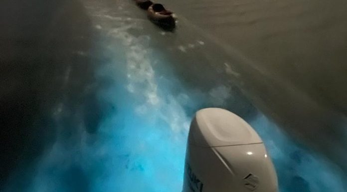 What to Know about La Parguera Bioluminescent Bay, Puerto Rico, Before Visiting