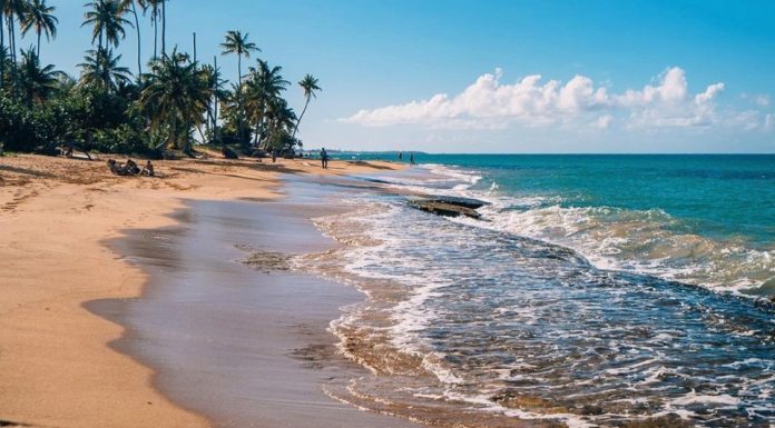 What to Know about Piñones, Puerto Rico, Before Visiting