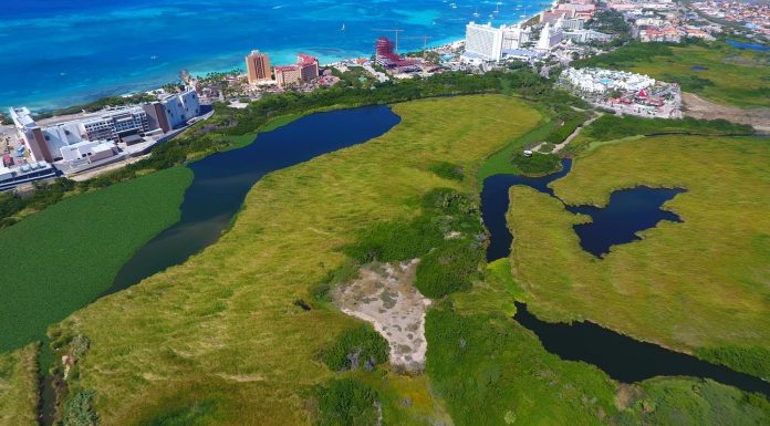 What to Know about Bubali Bird Sanctuary Aruba, Before Visiting What to Know about Bubali Bird Sanctuary Aruba, Before Visiting