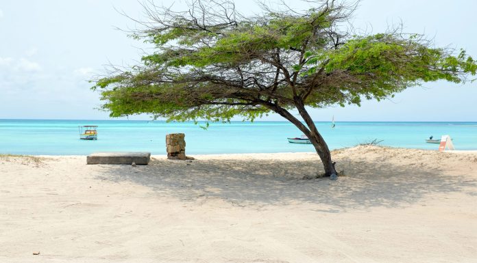 What to Know about Malmok Beach, Aruba, Before Visiting What to Know About Malmok Beach, Aruba, Before Visiting