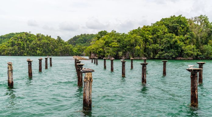 What to Know about The Los Haitises National Park, Before Visiting What to Know about The Los Haitises National Park, Before Visiting