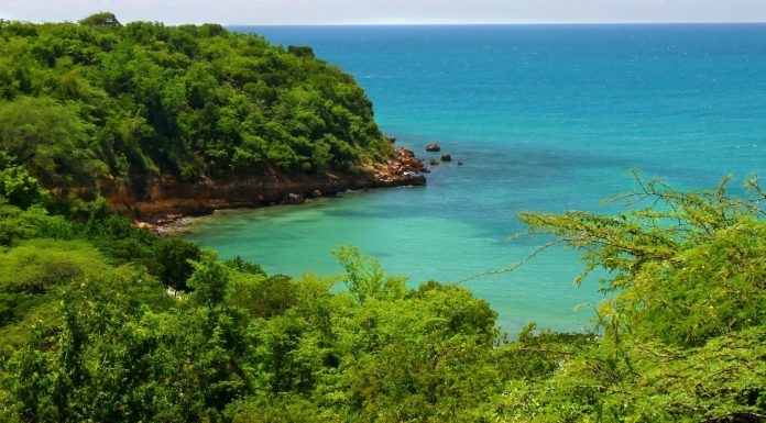 What to Know about Guánica, Puerto Rico, Before Visiting Guánica, Puerto Rico