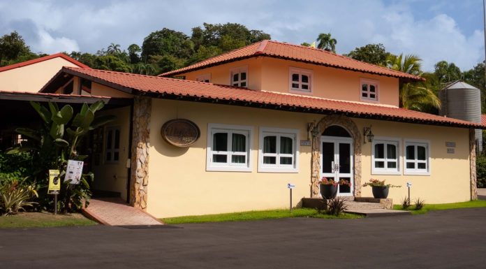 Top 5 Best Popular Coffee Tours & Farms in Puerto Rico to Visit on Vacation