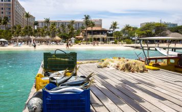 What to Know about The Hadicurari Restaurant in Aruba, Before Visiting What to Know about Hadicurari Beach, Aruba, Before Visiting