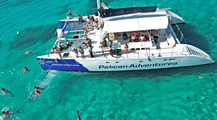 What to Know about Pelican Adventures in Aruba, Before Visiting What to Know about Pelican Adventures in Aruba, Before Visiting