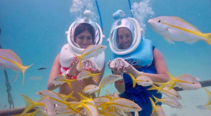 What to Know about Sea Trek in Aruba, Before Visiting What to Know about Sea Trek in Aruba, Before Visiting