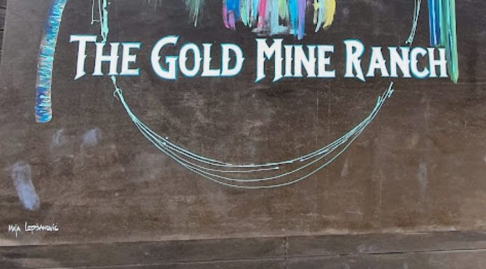 What to Know about Gold Mine Ranch Aruba in Aruba, Before Visiting What to Know about Gold Mine Ranch Aruba in Aruba, Before Visiting